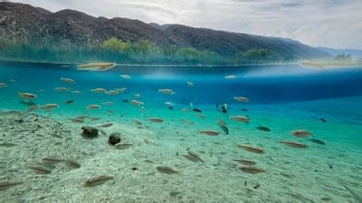 Drawing water from desert air no longer a mirage | The National