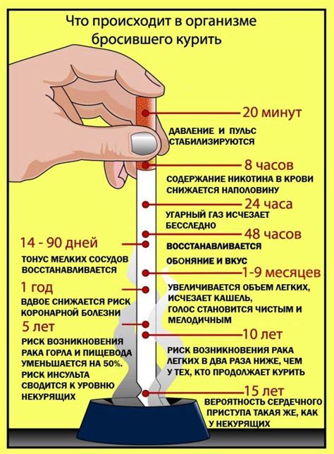 Никотин в организме человека: как обнаружить и очистить организм от ...
