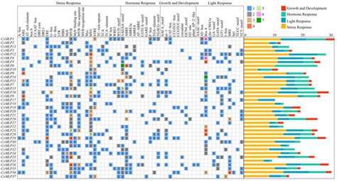 Comprehensive Analysis of Major Latex-Like Protein Family Genes in ...
