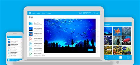 How to Use Sync.com 的图像结果