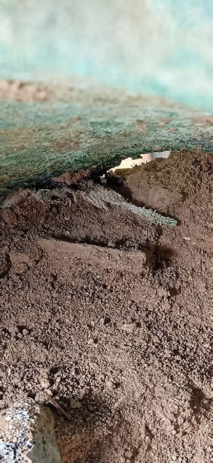 Rare find by UB archaeologist provides new insight into Etruscan life ...