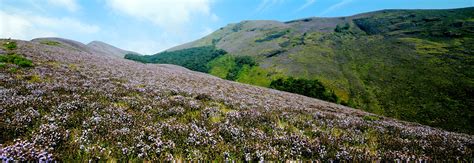 This is Elappara | Neelakurinji Bloggers Experience