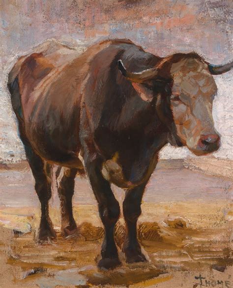 Who Is an Animal? - HAM