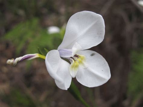 Image result for Climate Change Spring Temperature