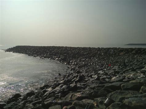 Chennai oil spill: As petroleum chokes the coast, no one wants to buy fish