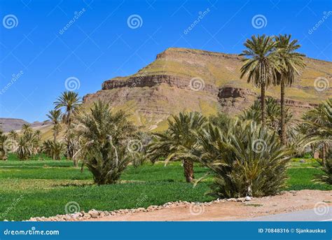 Agricultural Fields, Morocco Landscape Stock Photo - Image of rural, africa: 70848316