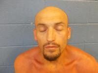 Inmate Roster | Poinsett County Sheriff AR | Sort Booking Time ...