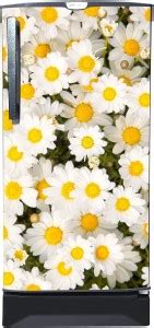 Wall Attraction 60.96 cm Single Door Refrigerator Single Door Sticker ...