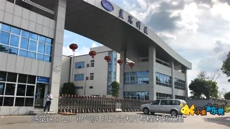 自建工厂获生产资质 小鹏P7将于肇庆工厂制造 - 牛车网