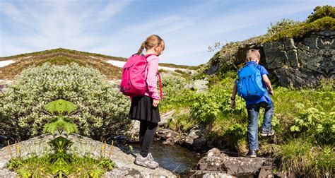 Activity in Spring 的图像结果