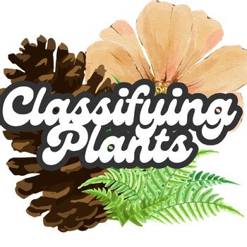 Image result for CLIL Lesson On Classifying Plants