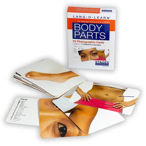 Buy Lang-O-Learn: Body Parts Online at Low Prices in India - Amazon.in