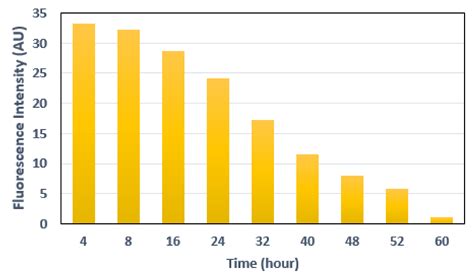 A Fluorescence-Based Wireless Capsule Endoscopy System for Detecting ...