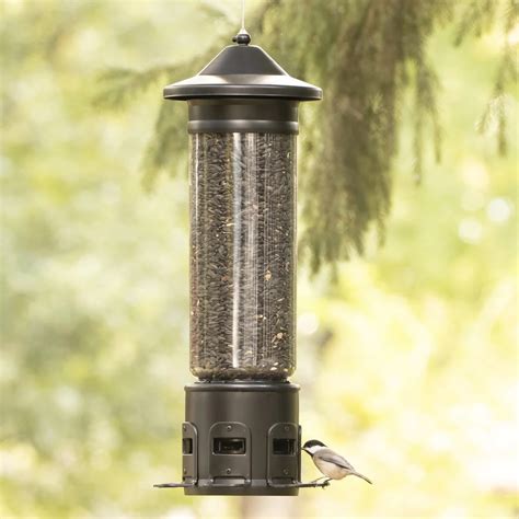 Squirrel Shield Pro Seed Tube Bird Feeder