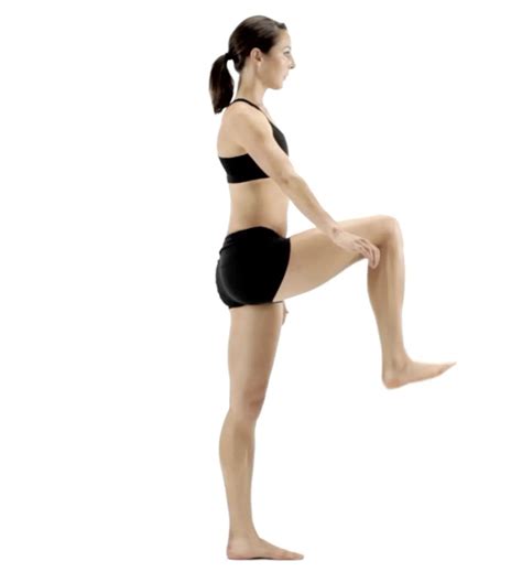 Image result for Contralateral March Exercise