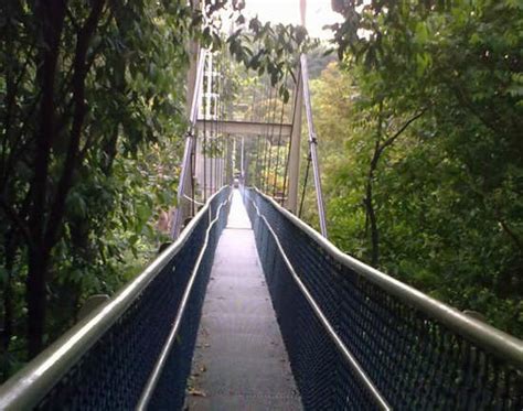 TreeTop Walk at MacRitchie Reservoir - Singapore: Get the Detail of ...