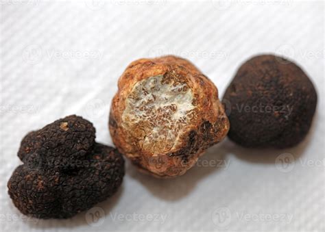 White and black truffles mushroom close up background botanical prints ...
