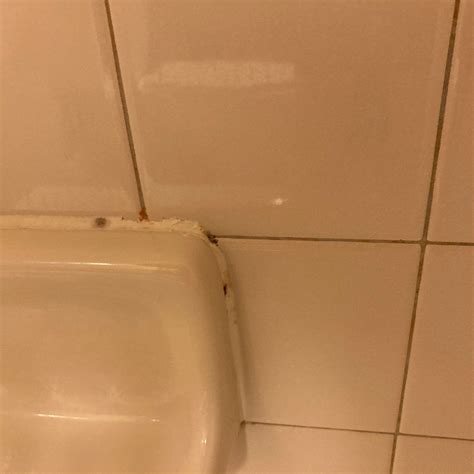 WINGATE BY WYNDHAM GREEN BAY AIRPORT - Updated 2026 Prices & Hotel ...