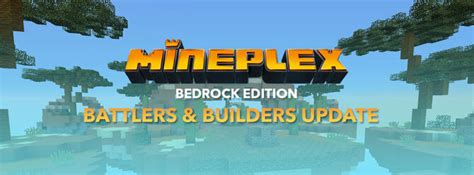 Image result for Mineplex Java