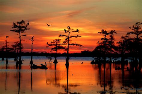 on the bayou – bayou creek map – KASI