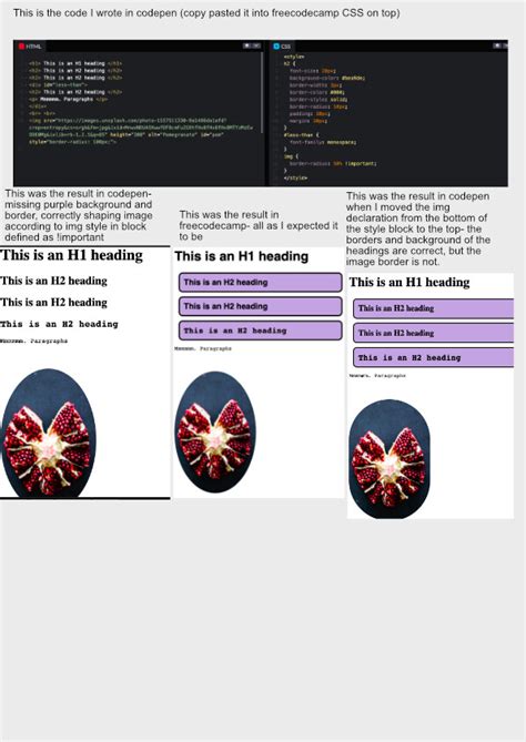 Image result for HTML and CSS Freecodecamp