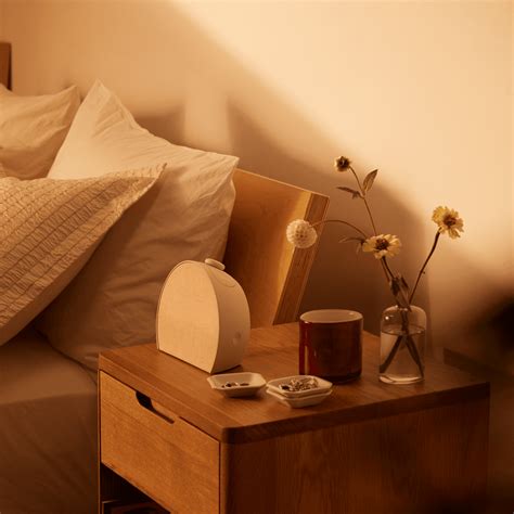 Image result for Hatch Restore Features