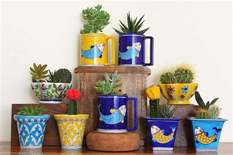 Cute Succulents & Cacti For Indoor Garden | LBB Delhi