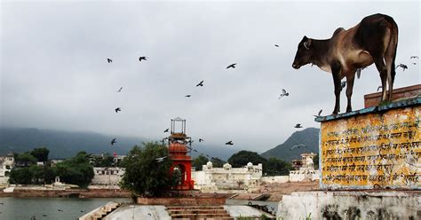 Meat-eating and the marginalisation of minorities | The Caravan