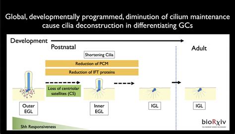 Mill_lab (@Mill_lab@mstdn.social) - Mastodon 🐘