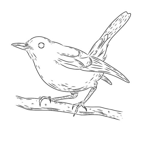 Bird line drawing Images - Free Download on Freepik
