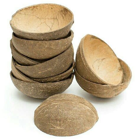 Buy Thenga Natural Oval Coconut Shell Bowls - Set of 10, 150 ML ...