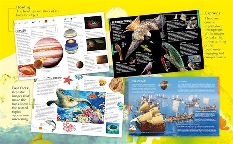 Encyclopedia: Big Book of Knowledge : Om Books Editorial Team: Amazon ...