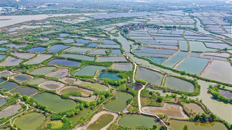 西南地区最大的现代化池塘循环水养殖基地投产运营
