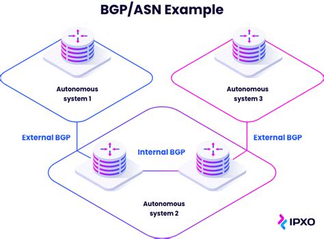 What Is ASN? Introduction To Autonomous System Numbers - IPXO