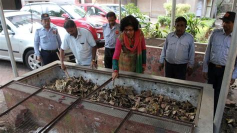 Start composting waste as Thane Municipal Corporation will stop ...