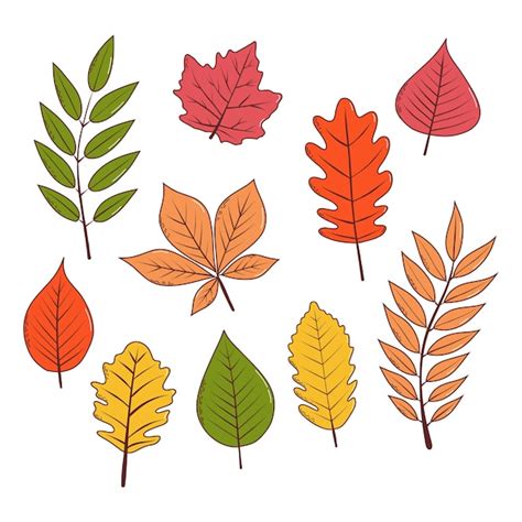 Autumn leaves vector illustration in hand drawn style | Premium Vector