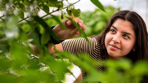 School of Earth, Environment & Sustainability - Georgia Southern University