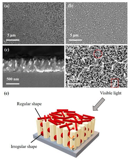 A Broad Spectral Photodetector Using Organic Bisindolo Quinoxaline on ...