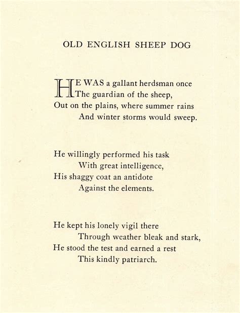 My old english sheepdog – Artofit