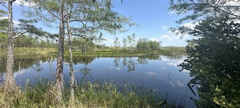 Grassy Waters Preserve: Owahee Trail, Florida - 148 Reviews, Map ...