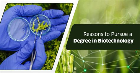 Image result for Biotechnology Degree Programs