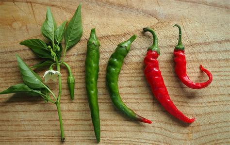 Unterschied Peperoni und Chili - Infos zur Schärfe