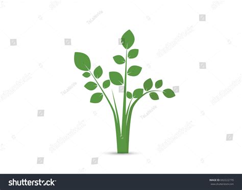 Tree Vector 的图像结果