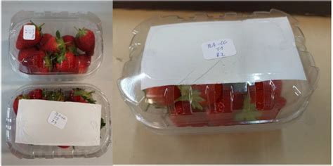 Biodegradable Active Packaging Enriched with Essential Oils for ...