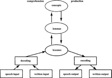 Image result for Lexical Comprehension Examples