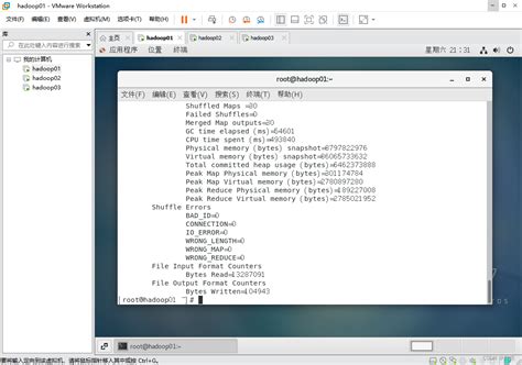 MapReduce Programming 的图像结果
