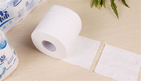 卫生纸厂家直销实惠装无芯卷纸厕纸纸巾一提12卷手纸抽纸_虎窝淘