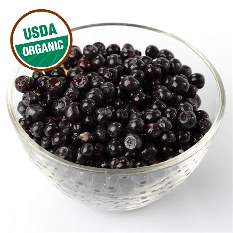 Fresh Frozen Wild Organic Blueberries – Northwest Wild Foods