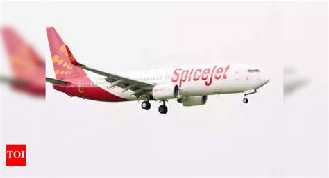 Now, SpiceJet to launch 20 new domestic flights | Mumbai News - Times ...