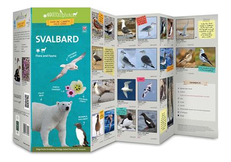 Svalbard : Flora & Fauna : Pocket Guide : Diego Punta Fernández ...
